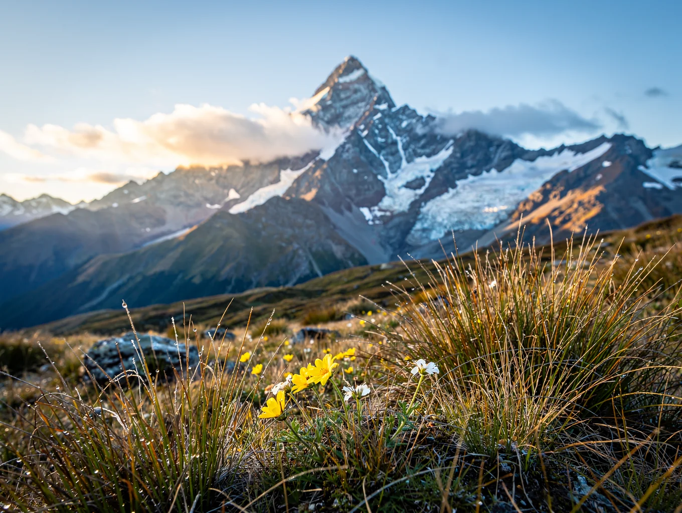Snowy ridge of Mount Cook